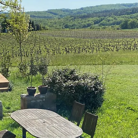 Les Vins De Rouyre - Maison, 4 Pers, Grand Jardin, Bain Nordique בית נופש Sainte-Cécile-du-Cayrou