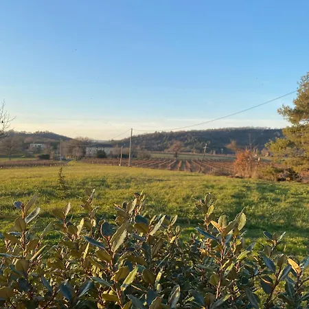 Les Vins De Rouyre - Maison, 4 Pers, Grand Jardin, Bain Nordique