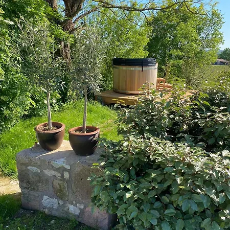 Les Vins De Rouyre - Maison, 4 Pers, Grand Jardin, Bain Nordique * Sainte-Cecile-du-Cayrou