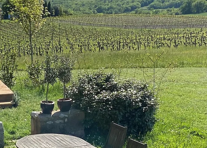 Les Vins De Rouyre - Maison, 4 Pers, Grand Jardin, Bain Nordique Casa de Férias Sainte-Cecile-du-Cayrou